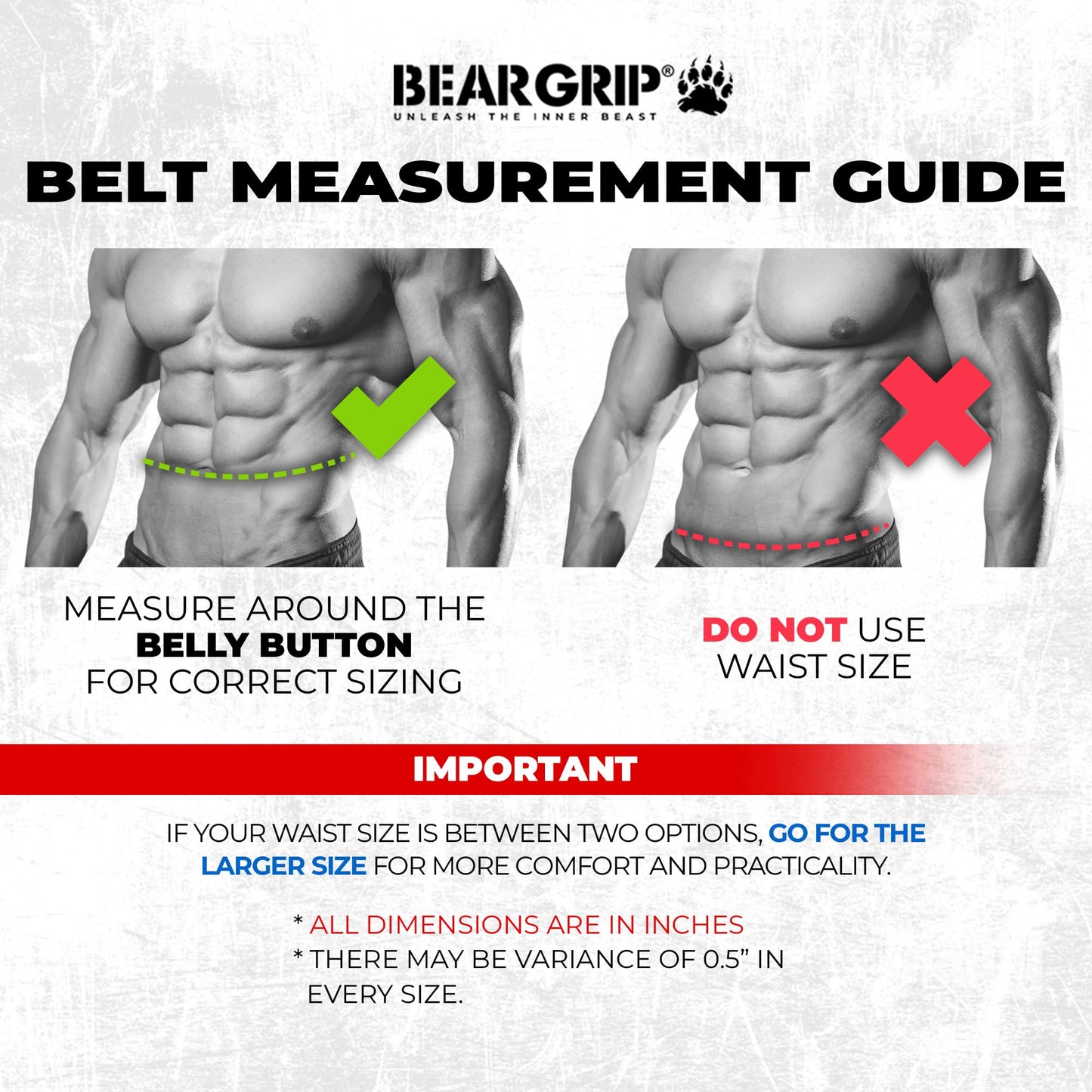 BEAR GRIP Power Belt - Elite Edition Premium Double Pong Weight Lifting Belt